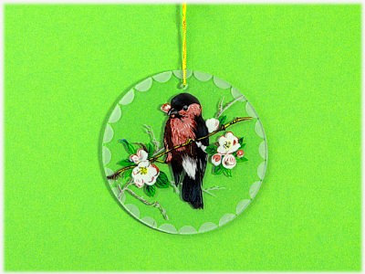 Behang/Fensterbild rund/oval bunter Vogel